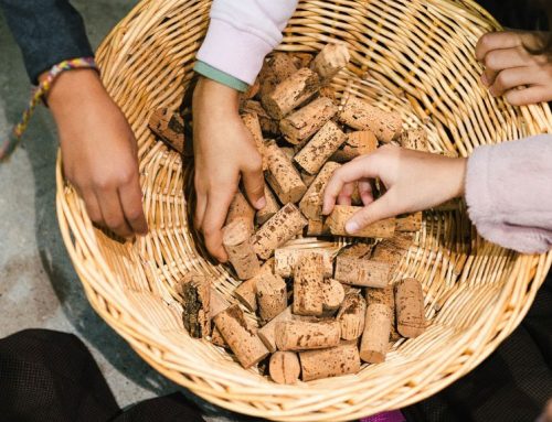 Taller de Caixes Niu amb Suro Natural de la Serra Espadà
