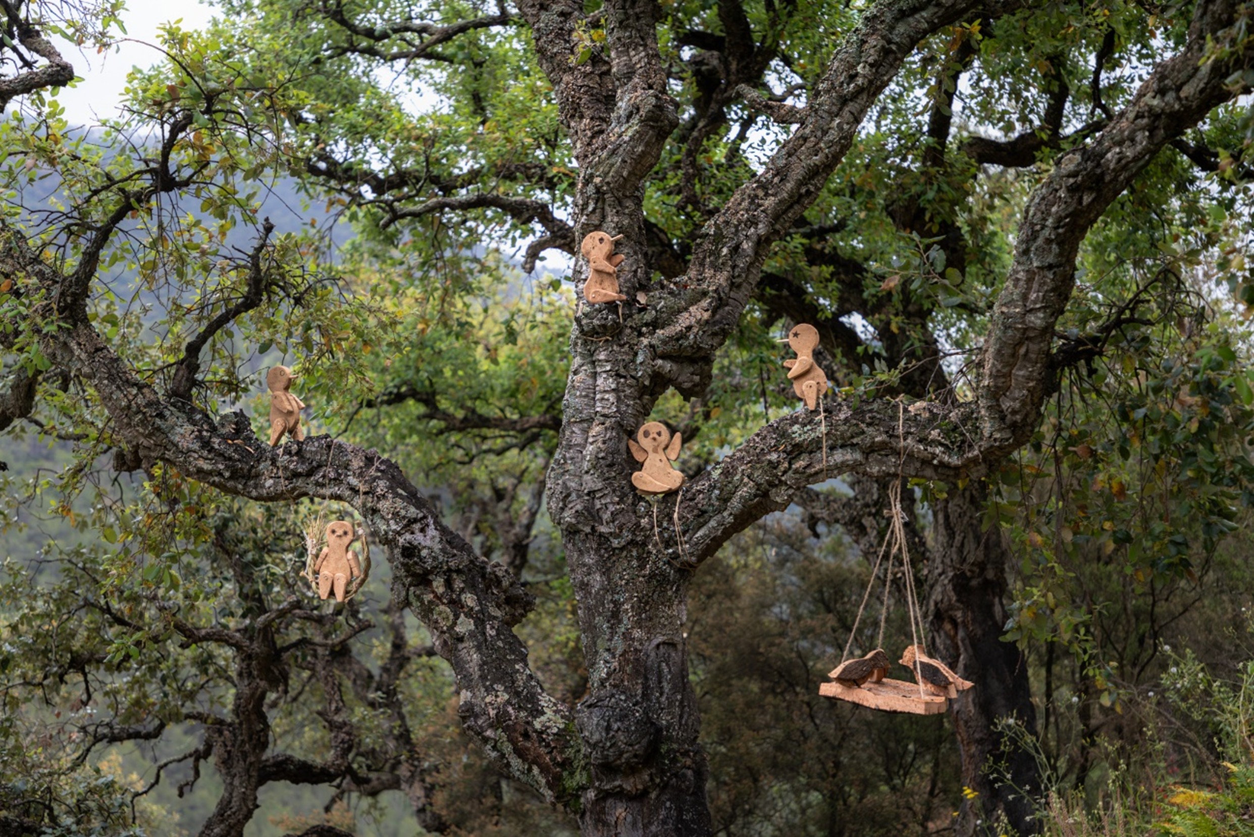 EL BOSC HABITAT, EL SURO QUE BATEGA