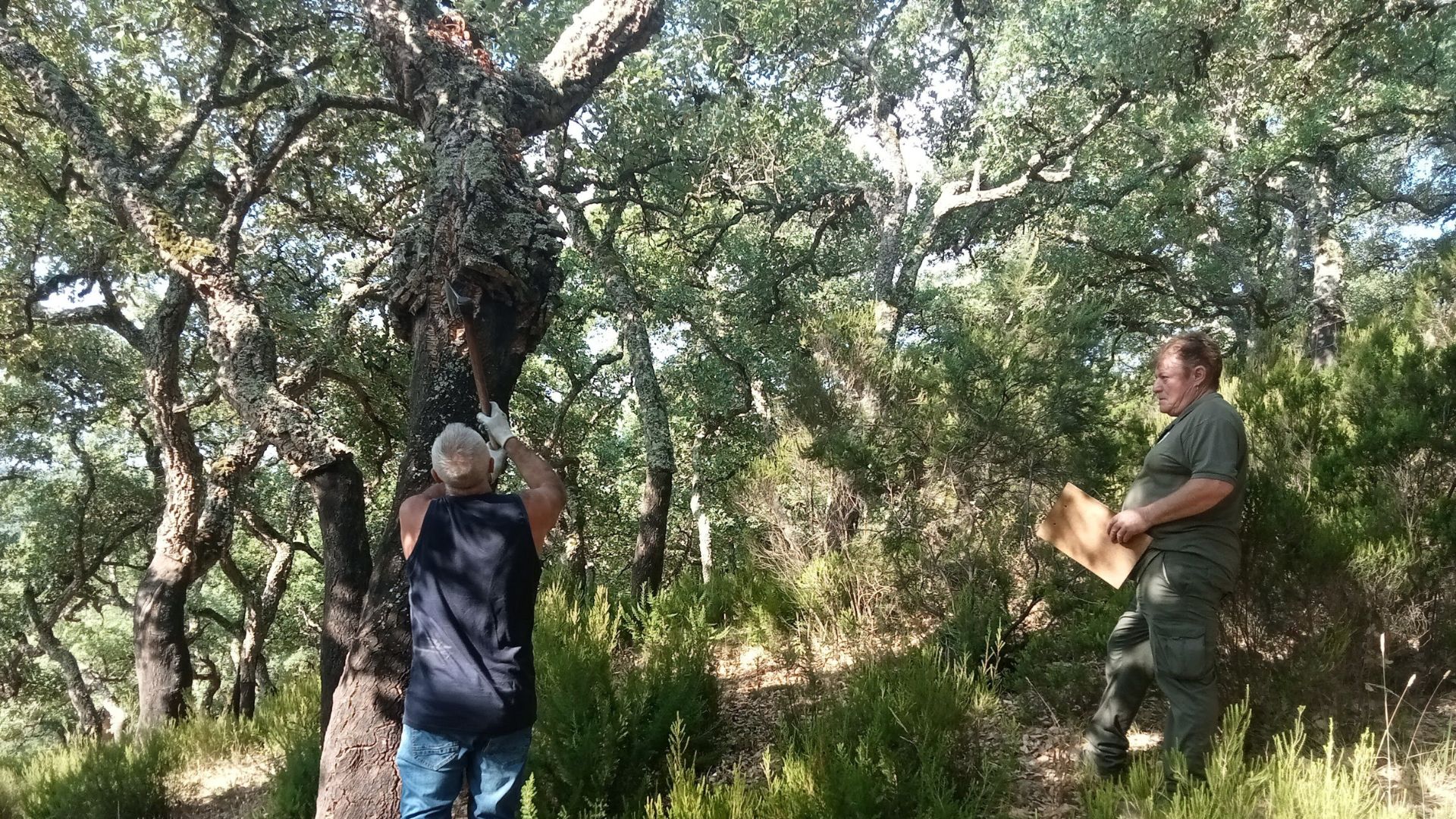 2025-09-17-carnet-sacador
